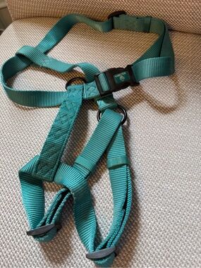 Hamilton Teal Nylon Dog Harness with Plastic Buckle
